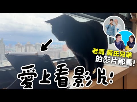 【黃阿瑪的後宮生活】Soso愛上看影片！老高、黃氏兄弟的影片都看！