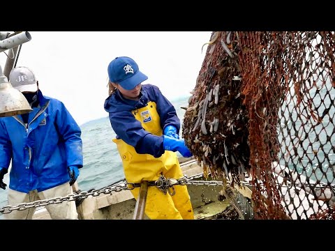 A Young Japanese Female Fisherman and Her Mentor Bottom Trawling