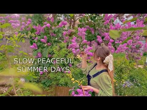 One Cozy Day in the Countryside | Slow living | Cottagecore , picking flowers , relaxing vlog