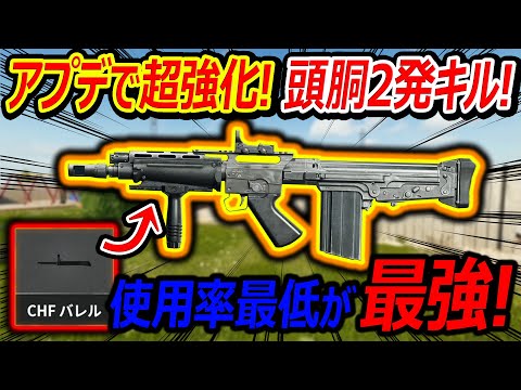 【CoD:BO6】アプデで使用率最下位ARが超強化!!『頭・胴で2発キルが可能で時代ｷﾀ━━(ﾟ∀ﾟ)━━』【実況者ジャンヌ】