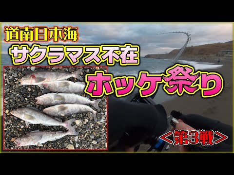 【北海道サーフ2024】道南日本海(上ノ国方面)：激アツ日本海でデカホッケだけを狙ったホッケ祭り！＜第3戦＞