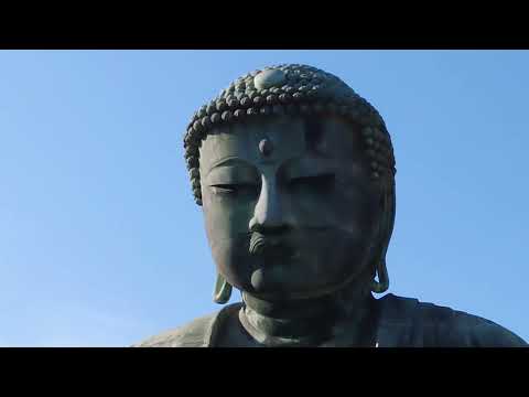 鎌倉七福神巡りツアー④ラスト&番外編/大仏#kamakura #temple 御霊神社浄智寺