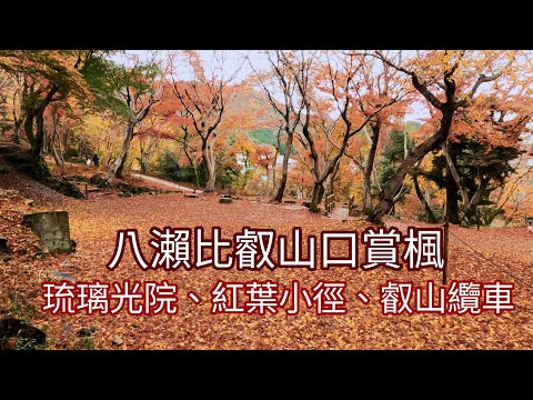 八瀨比叡山口紅葉地毯超美、超壯觀（琉璃光院、紅葉小徑、叡山纜車賞楓與練拳）