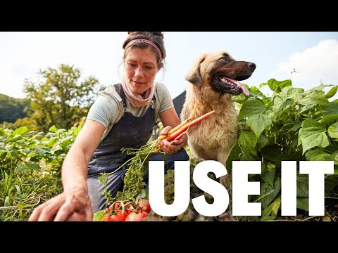 OK I Grew Stuff, Now What??  | 10 Tips to USE and PRESERVE Your Garden Produce