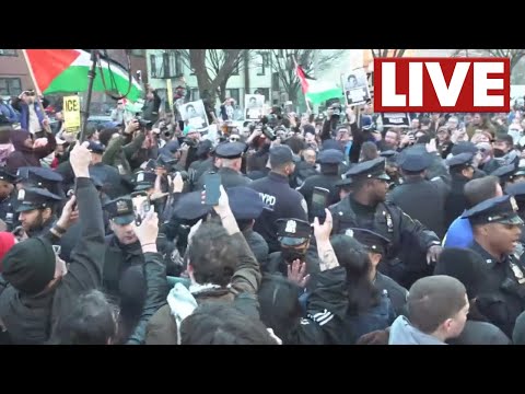 Live: Protests after Palestinian activist arrested by ICE