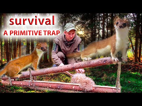 PRIMITIVE TRAP