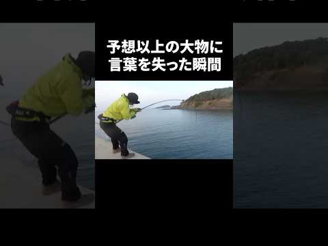 想像以上の魚に愕然 #釣り #fishing