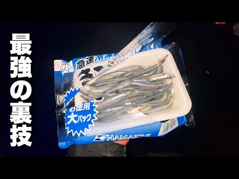 食べて美味しいあの魚がアホみたいに釣れる裏技