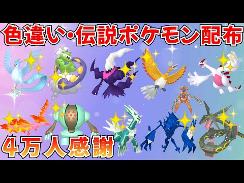 【ポケモンSV】色違いポケモン 伝説ポケモン配布  色ホウオウ 色ルギア 色ダークライ 色ディアルガ 色ネクロズマなど抽選 #ライブ配信 #ポケモンsv #初見歓迎