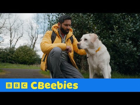 SNEAK PEEK: Super Sight, Super Boost! | Dog Squad | CBeebies