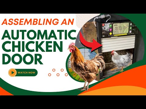 I Built A Smart Chicken Coop With An Automatic Door