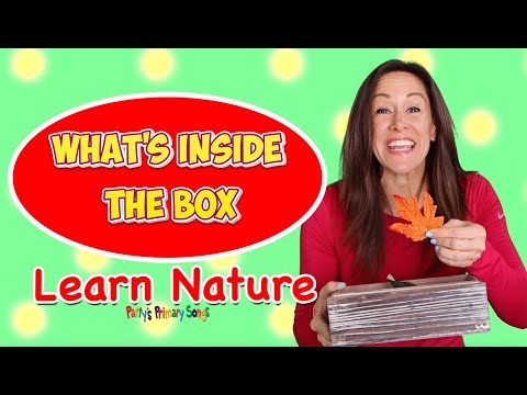 What is it Guessing Game for Children Kids Toddlers Nursery Rhyme Whats Inside the Box Nature Object