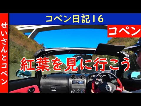 コペン日記16 (2020.12.02) そうだ紅葉を見に行こう！　用作公園