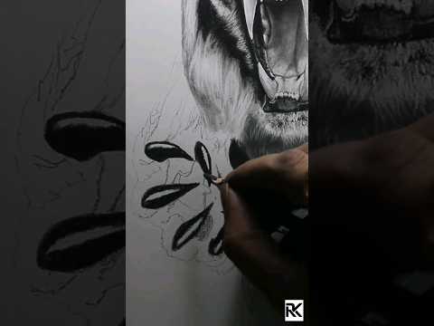 Tiger Abstract art #portrait #trending #viral #art#tiger #animal  #wildlife #chhaava #nature 