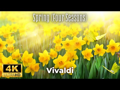 4K Nature Relaxation Film - Vivaldi - Spring (Four Seasons)