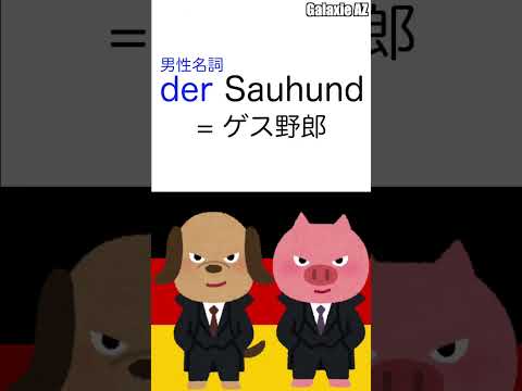 使い方に注意！ドイツ🇩🇪語で「ブタ犬」とは？🐷🐶 #shorts #ドイツ語 #ショート動画