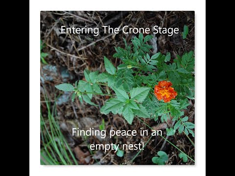 Entering the Crone Stage & Empty Nest Syndrome