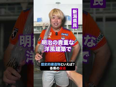 みんなのおすすめは!? #shorts #東北 #観光 #インタビュー #東北エニバ