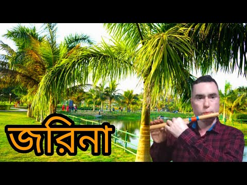 বাঁশির সুর। জরিনা।