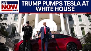 WATCH: Trump & Musk showcase Tesla at White House