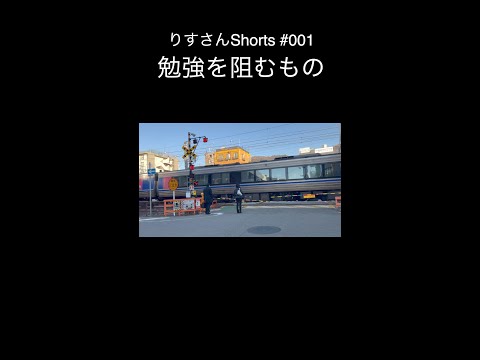 【勉強を阻むもの】りすさんshorts #001 #神戸 #簿記1級  #shorts