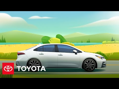 ToyotaCare Plus Service Drive | Let's Go