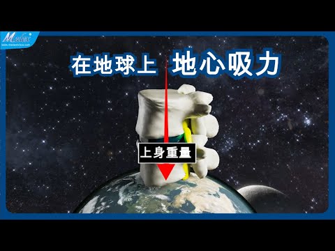 【自診自醫】牛頓的地心吸力解釋椎間盤突出(B18b)(3D Animation)