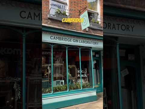 The city on the hills of Gog Magog #cambridge #visitengland #citywalk #travelvlog #england