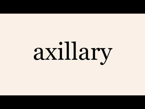 axillary