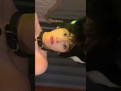 【Tik Tok】貓耳 | 帥哥 | Cosplay | 奶狗 | 可愛 | 亞洲 | 項圈 | Douyin