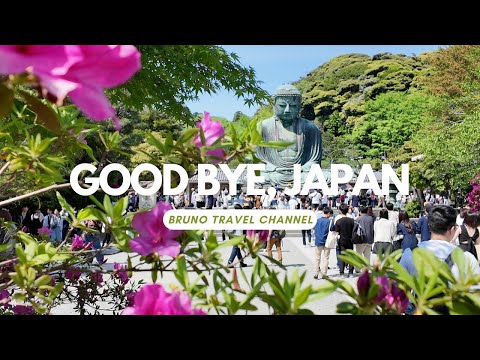 Good bye Japan! Kamakura, shopping and more!