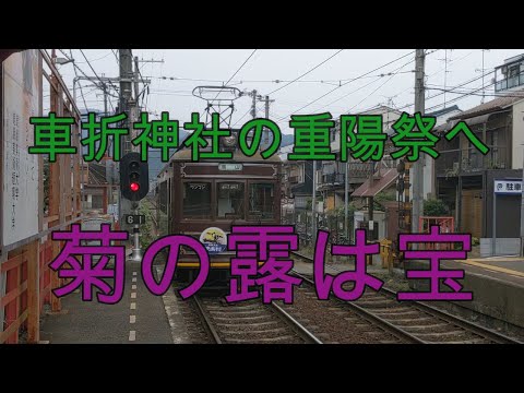 車折神社の重陽祭へ　菊の露は宝