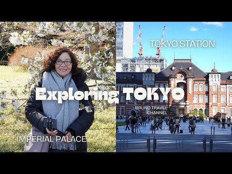 JAPAN! Imperial Palace Grounds Walk through, Tokyo Central Station!!