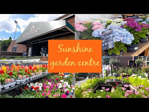 Visit to Independent Garden Centre ~ Sunshine Garden Centre ~ Haul ~ August 2021