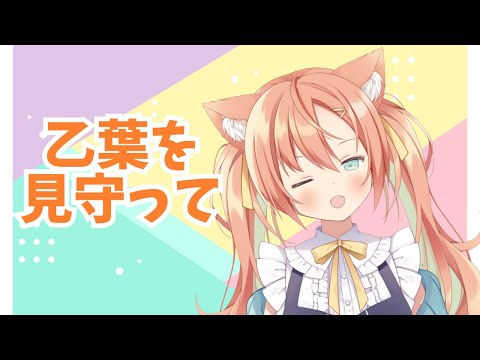 【無言 】作業してるおとは見守る枠　 #早乙女乙葉 #VTuber #初見さん大歓迎