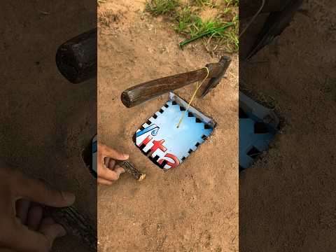 Amazing Unique Bird Trap #diy_creative #shorts