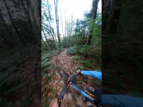 Leaf shredding 🍂 #mountainbiking #insta360 #pov