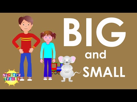 Learn Bigger and Smaller