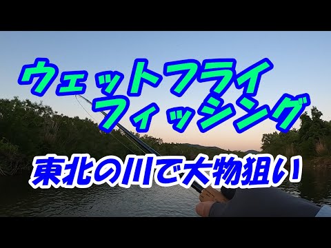 フライ編【ウェットフライフィッシング20】東北の川で大物狙い