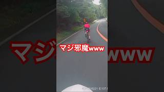 ロードバイク マジ邪魔 山道の チャリカス 自転車 危険行為 危険運転 ドラレコ #Shorts