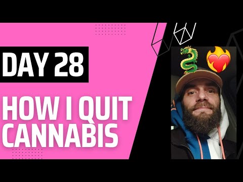 Day 28: HOW I QUIT CANNABIS - Reviewing the Process of Transcending Harmful Choices for LIFE