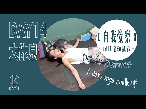 自我覺察 14日瑜珈挑戰- Day14.大休息 Yoga for Awareness