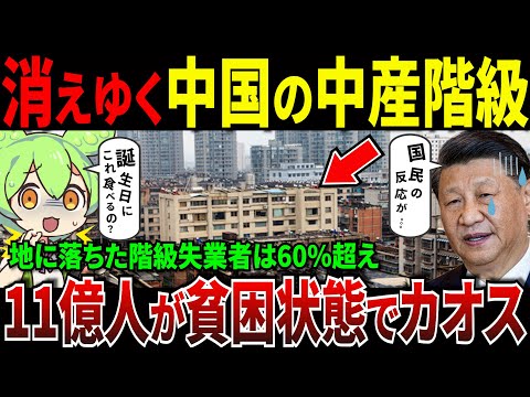 中国失業の荒波に飲み込まれ消えゆく中産階級！失業率60％超え...11億人が貧困状態でカオスw【ずんだもん＆ゆっくり解説】