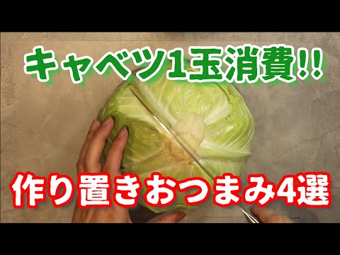 4 types of cabbage recipe