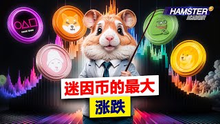 这些迷因币是如何造就百万富翁的……并让人心碎的⚡️ Hamster Academy