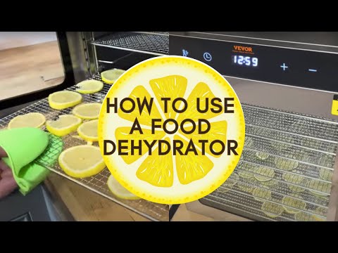 Dehydrating Fruit: A Worthwhile Investment or a Waste of Time?