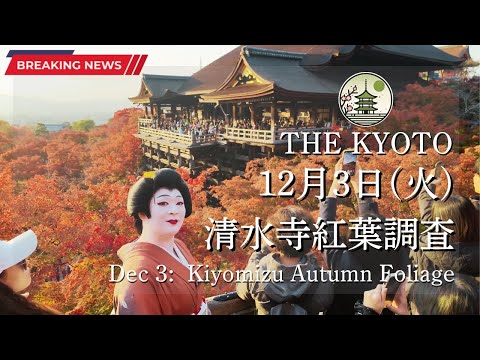 The autumn leaves situation at Kiyomizu-dera on December 3rd with Maiko