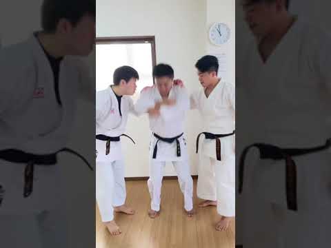 花車先生に形でギャフンといわされた#karate #kata #空手 #形