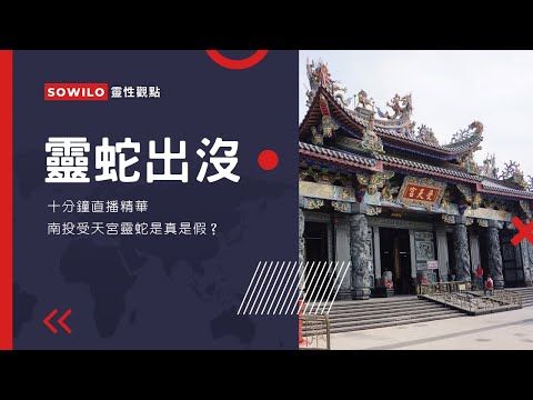 南投受天宮靈蛇是真還是假？｜直播精華｜Sowilo靈性觀點