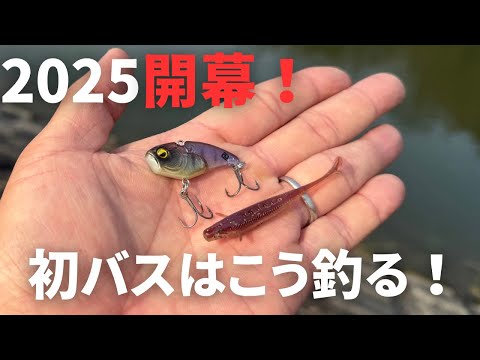 【初バス釣り】冬釣れない、狙い方がわからない人はこの釣り方を試してみてください。冬バスの狙い方が分かれば、簡単に釣れるようになります。【初釣り】【メタルバイブ】【ダウンショット】【謹賀新年】